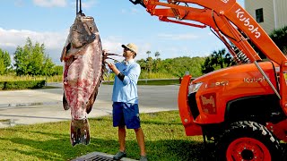 How to Clean and Cook a 300lb Grouper [upl. by Nylkaj]