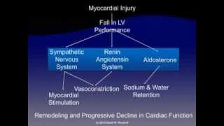 Pathophysiology of Heart Failure [upl. by Clancy]