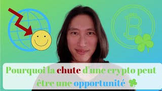 Pourquoi la chute d’une crypto monnaie est une opportunité  Comment investir quand la crypto tombe [upl. by Naimad742]