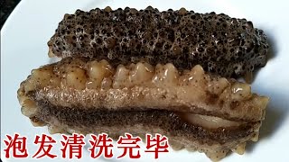 海参的泡发和清洗步骤 Sea cucumber [upl. by Saimerej]