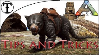 Fast Thylacoleo Taming Guide  ARK  Survival Evolved Tips and Tricks [upl. by Aramot744]