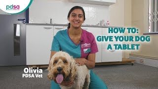 How To Give Your Dog A Tablet PDSA Petwise Pet Health Hub [upl. by Elsworth]