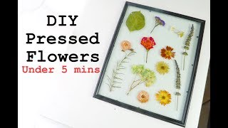 DIY PRESSED FLOWERS in UNDER 5 MINUTES [upl. by Lorsung]