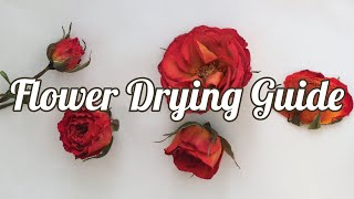 How to Dry Flowers 4 Methods [upl. by Chasse]