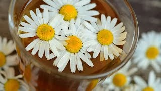 8 Teas with Powerful Health Benefits [upl. by Mildred]