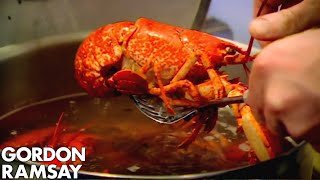 Cooking Lobster with Jeremy Clarkson  Gordon Ramsay [upl. by Gorden]