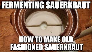 Fermenting Sauerkraut  How To Make Old Fashioned Sauerkraut [upl. by Richmound]