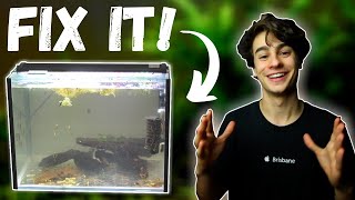 How to Fix Cloudy Water in an Aquarium Easiest Method [upl. by Rayle713]