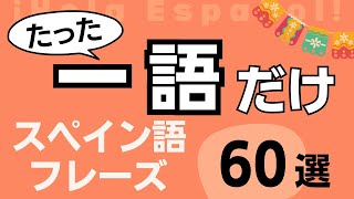 短い！簡単！よく使う！これだけでしっかり伝わるスペイン語 [upl. by Norra881]