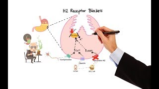 Pharmacology  ANTIHISTAMINES MADE EASY [upl. by Costanzia]