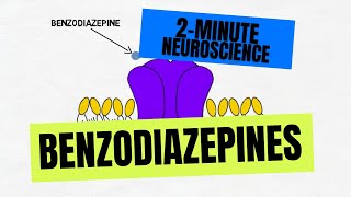 2Minute Neuroscience Benzodiazepines [upl. by Cand6]