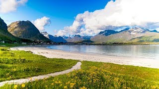 Uplifting Music  light positive happy music Gullrosøya  1 hour [upl. by Stringer376]