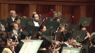 Schubert  Symphony No 7No 8 quotUnfinishedquot  1st Movement [upl. by Thibaut]