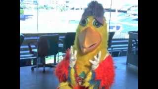 San Diego Chicken vs Tommy Lasordam4v [upl. by Hayidah]