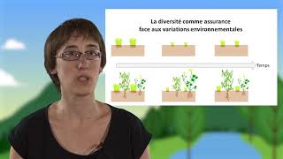 Biodiversité fonctionnement et stabilité des écosystèmes [upl. by Ycnej]