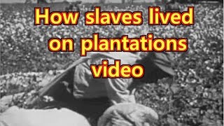 Plantation life for slaves in the South [upl. by Shuman]