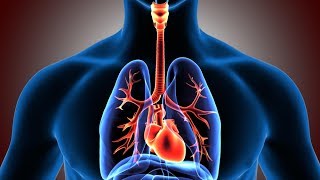 Respiratory System Facts Function and Diseases [upl. by Sheehan935]