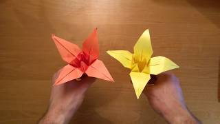 ORIGAMI IRYS  kwiaty z papieru  IRIS FLOWER [upl. by Eejan]