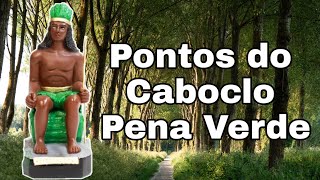 PONTOS DO CABOCLO PENA VERDE COM LETRA  RICK DE OXUM [upl. by Bocyaj259]