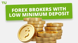 Top 10 Forex Brokers With Low Minimum Deposit [upl. by Kellsie]