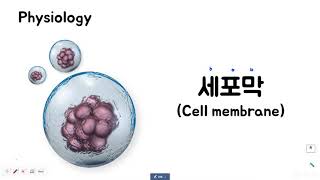 생리학세포막Cell membrane [upl. by Enitsirt]