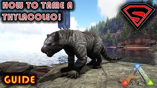 ARK HOW TO TAME A THYLACOLEO 2020  EVERYTHING YOU NEED TO KNOW ABOUT TAMING A THYLACOLEO [upl. by Waller]