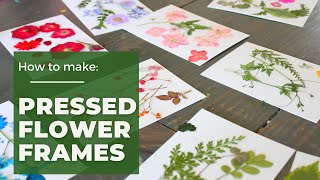 How to Make Pressed Flower Frames [upl. by Aniat]