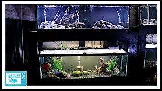 How To Build a 125 Gallon Fish Tank Double Stand [upl. by Burnley]