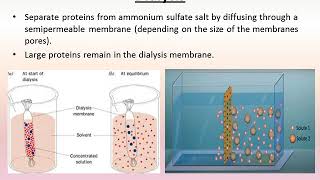 Protein Separation and Purification techniques [upl. by Ecnesse884]