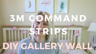 How To Use Command Strips  Gallery Picture Wall [upl. by Malas]