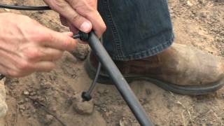 Drip Irrigation Tip  Emitter Placement [upl. by Namrej]