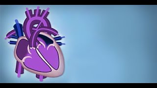 Fetal Circulation by L McCabe  OPENPediatrics [upl. by Odawa187]