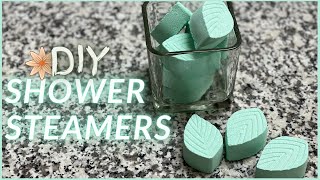 DIY SHOWER STEAMERS  Easy Recipe for a Relaxing Shower [upl. by Enttirb187]