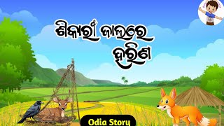 ଶିକାରୀ ଜାଲରେ ହରିଣShikari JalareHarina  forest Hunter and deer  Odia moral story Odia Gapa [upl. by Shantee]