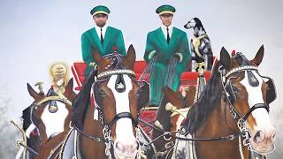 Warm Springs Ranch celebrates a decade of breeding Budweiser Clydesdales [upl. by Kcirad]