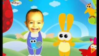 Hokey Pokey  Baby TV DutchNederlands [upl. by Ilrebmyk]