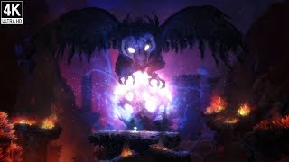 Ori and the Blind Forest  All the escapes No Damage 4K 60FPS [upl. by Eluj]