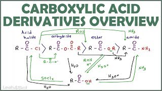 Carboxylic Acid Derivatives Overview and Reaction Map [upl. by Yehus]