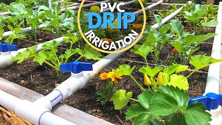 PVC Drip Irrigation System  EASY DIY [upl. by Egas722]