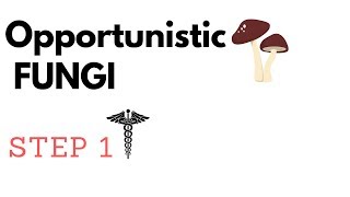 Opportunistic Fungi  Aspergillus Mucormycosis P jirovecii Candida amp Cryptococcus STEP1 [upl. by Imij]