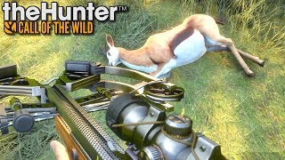 Polowanie z kuszy  theHunter Call of the Wild 44 [upl. by Cross]