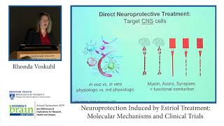 Neuroprotection Induced by Estriol Treatment  Brigham and Womens Hospital [upl. by Ttsepmet]