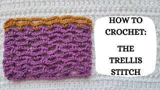 How To Crochet Trellis Stitch  Tutorial DIY Beginner Crochet Easy Crochet Pretty Lace Cute 💜 [upl. by Swen]