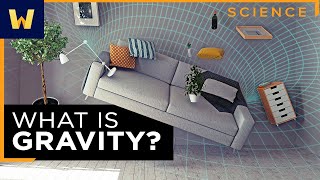 General Relativity and Gravity  What Einstein Discovered [upl. by Gyimah167]