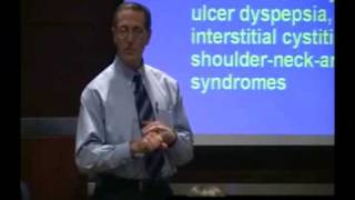 MBS  Mind Body Syndrome Seminar Part 1A by Dr H Schubin [upl. by Keith]