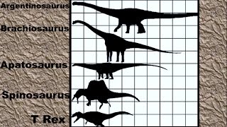 Dinosaur Size Comparison 2D [upl. by Clie]