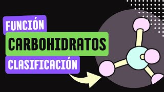 Carbohidratos FUNCIÓN y CLASIFICACIÓN 🔬 [upl. by Assilim]