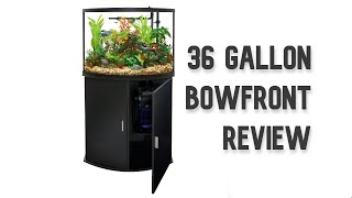 Top Fin 36g Bowfront Aquarium Review [upl. by Kenta512]