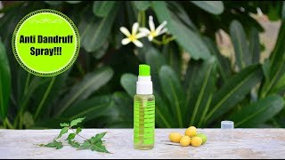 Spray This Once To Remove Dandruff amp Itchiness Permanently  Powerful Homemade Anti Dandruff Spray [upl. by Ayouqes]