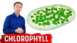 9 Proven Benefits of Chlorophyll [upl. by Archy]